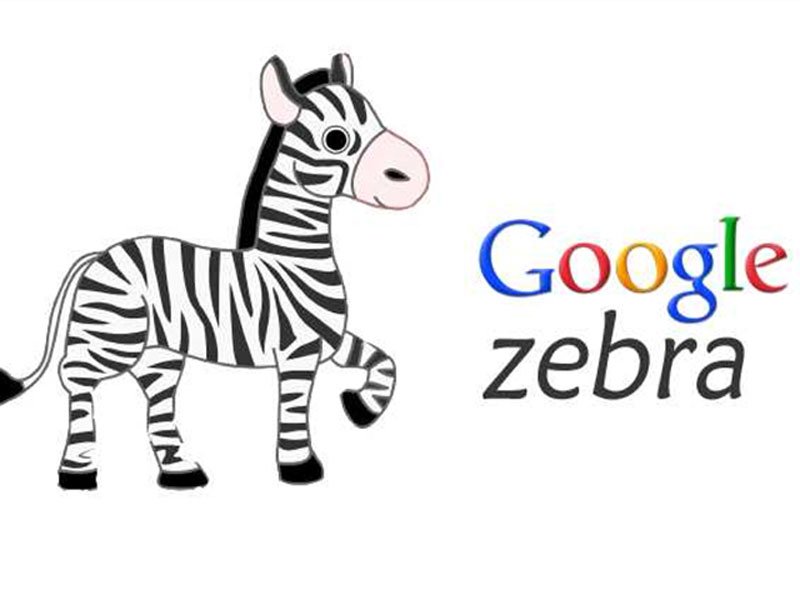 تاثیر الگوریتم گورخر (zebra) در سئو
